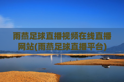 雨燕足球直播视频在线直播网站(雨燕足球直播平台)