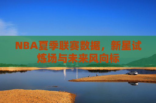 NBA夏季联赛数据,新星试炼场与未来风向标