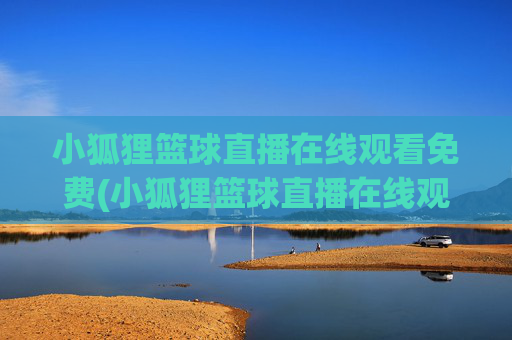 小狐狸篮球直播在线观看免费(小狐狸篮球直播在线观看免费视频)