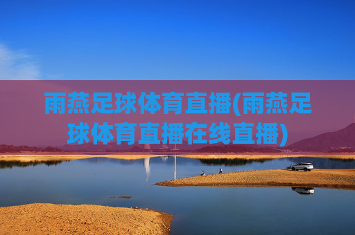雨燕足球体育直播(雨燕足球体育直播在线直播)
