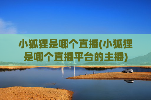 小狐狸是哪个直播(小狐狸是哪个直播平台的主播)
