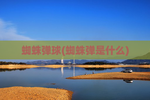 蜘蛛弹球(蜘蛛弹是什么)
