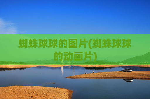 蜘蛛球球的图片(蜘蛛球球的动画片)
