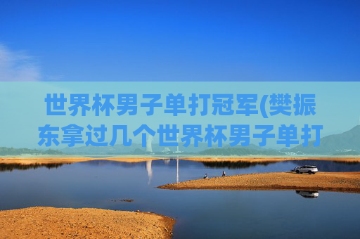 世界杯男子单打冠军(樊振东拿过几个世界杯男子单打冠军)