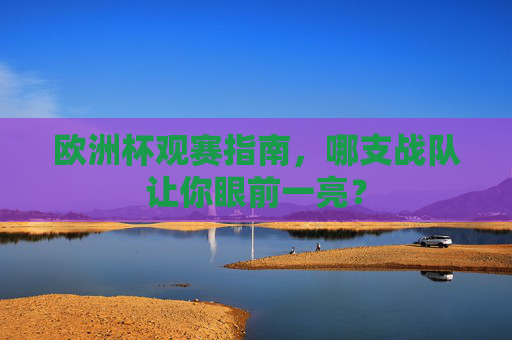 欧洲杯观赛指南,哪支战队让你眼前一亮?