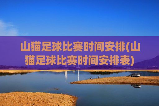 山猫足球比赛时间安排(山猫足球比赛时间安排表)