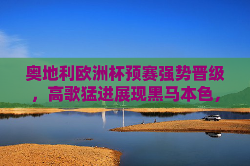 奥地利欧洲杯预赛强势晋级,高歌猛进展现黑马本色,奥地利欧洲杯预赛强势晋级 高歌猛进尽显黑马本色