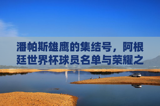 潘帕斯雄鹰的集结号,阿根廷世界杯球员名单与荣耀之路