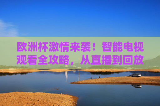 欧洲杯激情来袭!智能电视观看全攻略,从直播到回放,一篇搞定,欧洲杯智能电视观看全攻略,直播回放一篇搞定