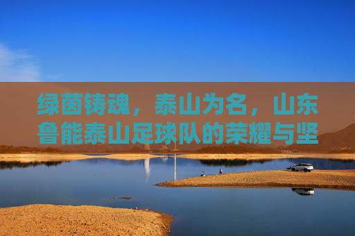 绿茵铸魂，泰山为名，山东鲁能泰山足球队的荣耀与坚守，绿茵铸魂泰山志，鲁能荣耀坚守