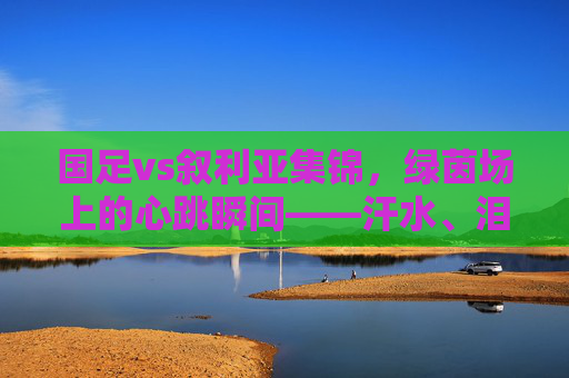 国足vs叙利亚集锦，绿茵场上的心跳瞬间——汗水、泪水与未竟的梦，国足vs叙利亚，绿茵心跳，汗水泪水未竟梦