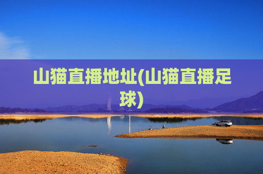 山猫直播地址(山猫直播足球)