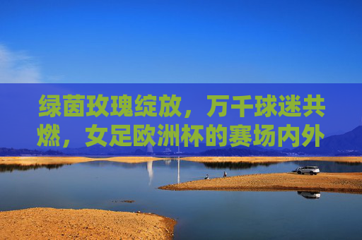 绿茵玫瑰绽放，万千球迷共燃，女足欧洲杯的赛场内外氛围实录，绿茵玫瑰绽放，万千球迷共燃——女足欧洲杯赛场内外氛围实录