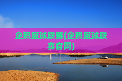 企鹅篮球联赛(企鹅篮球联赛官网)