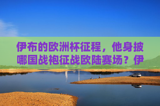 伊布的欧洲杯征程,他身披哪国战袍征战欧陆赛场?伊布欧洲杯身披哪国战袍?