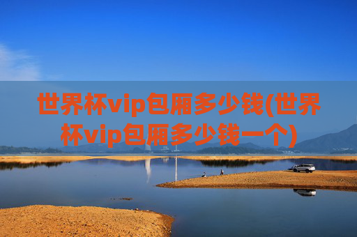 世界杯vip包厢多少钱(世界杯vip包厢多少钱一个)