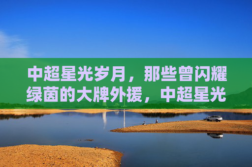 中超星光岁月,那些曾闪耀绿茵的大牌外援,中超星光岁月,闪耀绿茵的大牌外援