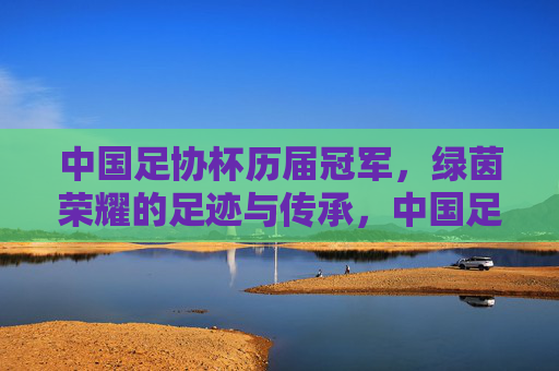 中国足协杯历届冠军,绿茵荣耀的足迹与传承,中国足协杯历届冠军,绿茵荣耀的足迹与传承