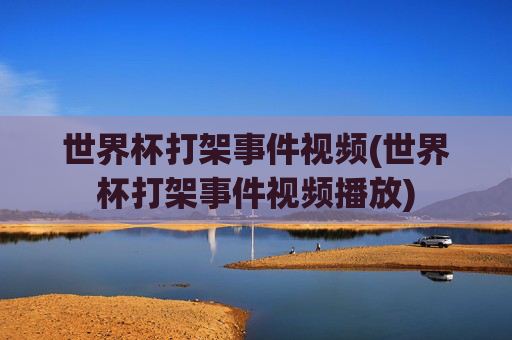 世界杯打架事件视频(世界杯打架事件视频播放)