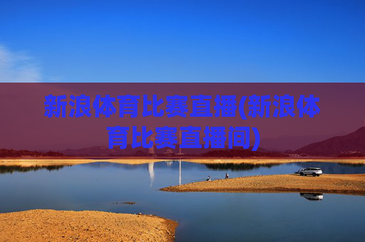 新浪体育比赛直播(新浪体育比赛直播间)