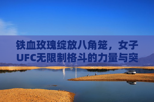 铁血玫瑰绽放八角笼,女子UFC无限制格斗的力量与突破,铁血玫瑰绽八角笼,女子UFC无限制格斗的力量与突破