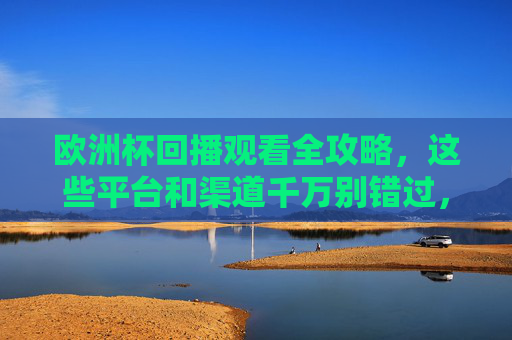 欧洲杯回播观看全攻略,这些平台和渠道千万别错过,欧洲杯回播观看全攻略,这些平台渠道千万别错过