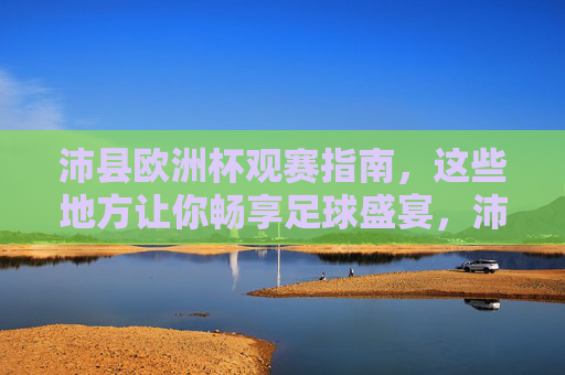 沛县欧洲杯观赛指南，这些地方让你畅享足球盛宴，沛县欧洲杯观赛指南，畅享足球盛宴