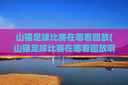 山猫足球比赛在哪看回放(山猫足球比赛在哪看回放啊)山猫足球比赛回放怎么看