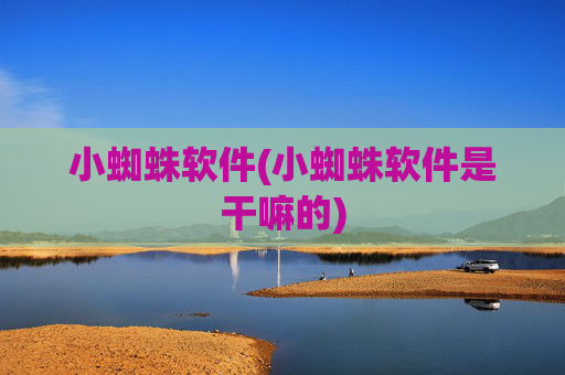 小蜘蛛软件(小蜘蛛软件是干嘛的)
