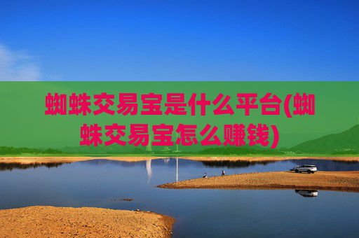蜘蛛交易宝是什么平台(蜘蛛交易宝怎么赚钱)