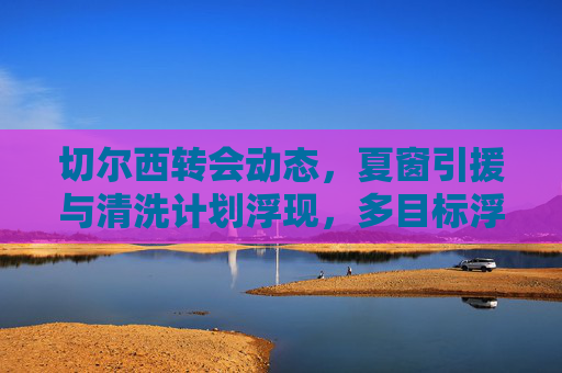 切尔西转会动态,夏窗引援与清洗计划浮现,多目标浮出水面,切尔西夏窗引援清洗计划浮现 多目标引关注