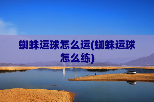 蜘蛛运球怎么运(蜘蛛运球怎么练)