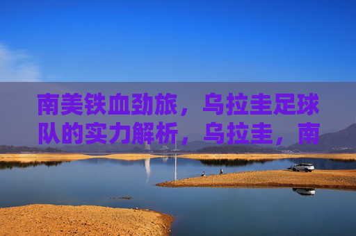 南美铁血劲旅,乌拉圭足球队的实力解析,乌拉圭,南美铁血劲旅的实力解析