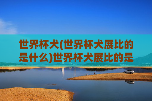 世界杯犬(世界杯犬展比的是什么)世界杯犬展比的是什么?