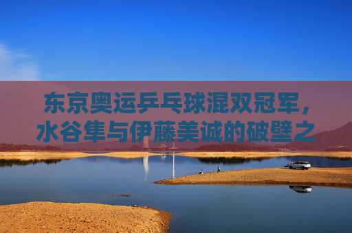 东京奥运乒乓球混双冠军,水谷隼与伊藤美诚的破壁之战,东京奥运乒乓球混双冠军,水谷隼与伊藤美诚的破壁之战