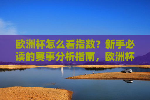 欧洲杯怎么看指数?新手必读的赛事分析指南,欧洲杯指数解读,新手赛事分析指南