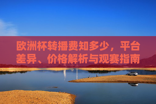 欧洲杯转播费知多少，平台差异、价格解析与观赛指南，欧洲杯转播费，平台差异、价格解析与观赛指南