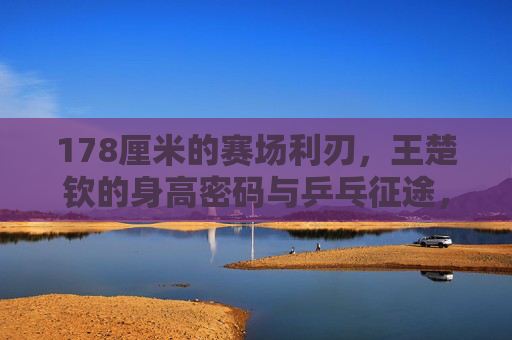 178厘米的赛场利刃，王楚钦的身高密码与乒乓征途，王楚钦的身高密码，178厘米赛场利刃的乒乓征途