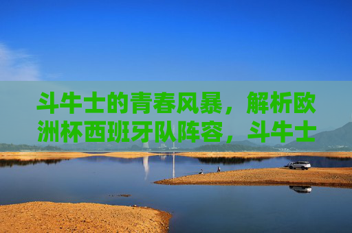 斗牛士的青春风暴,解析欧洲杯西班牙队阵容,斗牛士青春风暴,欧洲杯西班牙队阵容解析