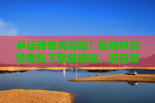 乒坛传奇再同框！张继科刘诗雯私下聚餐被拍，旧日搭档笑谈过往引回忆杀，乒坛传奇张继科刘诗雯私下聚餐同框，笑谈过往引回忆杀