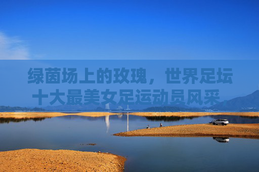 绿茵场上的玫瑰,世界足坛十大最美女足运动员风采,绿茵玫瑰,世界足坛十大女足运动员风采