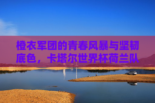 橙衣军团的青春风暴与坚韧底色,卡塔尔世界杯荷兰队阵容解析,橙衣军团青春风暴与坚韧底色,卡塔尔世界杯荷兰队阵容解析