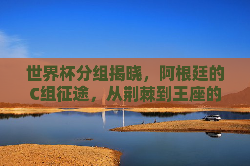 世界杯分组揭晓,阿根廷的C组征途,从荆棘到王座的淬炼,阿根廷C组,从荆棘到王座的淬炼