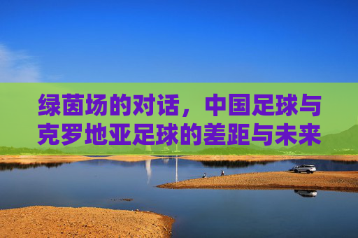 绿茵场的对话，中国足球与克罗地亚足球的差距与未来之路，绿茵场对话，中克足球差距与未来之路