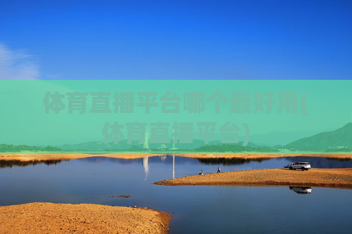 体育直播平台哪个最好用(体育直播平台)