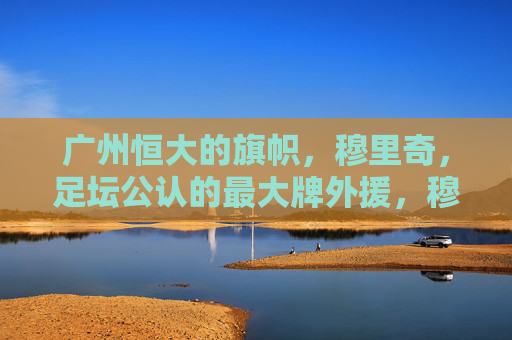 广州恒大的旗帜，穆里奇，足坛公认的最大牌外援，穆里奇，广州恒大的旗帜，足坛公认的最大牌外援