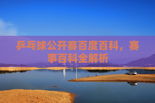 乒乓球公开赛百度百科,赛事百科全解析