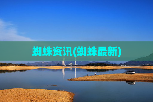蜘蛛资讯(蜘蛛最新)