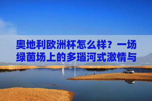 奥地利欧洲杯怎么样?一场绿茵场上的多瑙河式激情与优雅