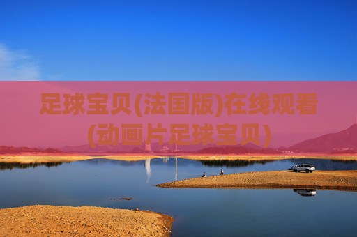 足球宝贝(法国版)在线观看(动画片足球宝贝)